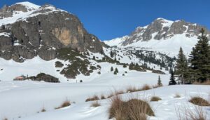 découvrez la publication au journal officiel de la liste contestée des 120 usages prioritaires des pesticides, un sujet clé pour l'agriculture et l'environnement.